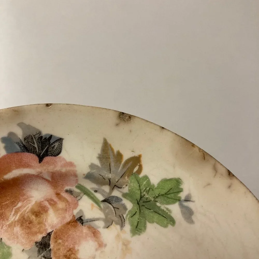 Vintage Salad Plates (2) 6 Inches with Pink & Blue Flowers / Roses